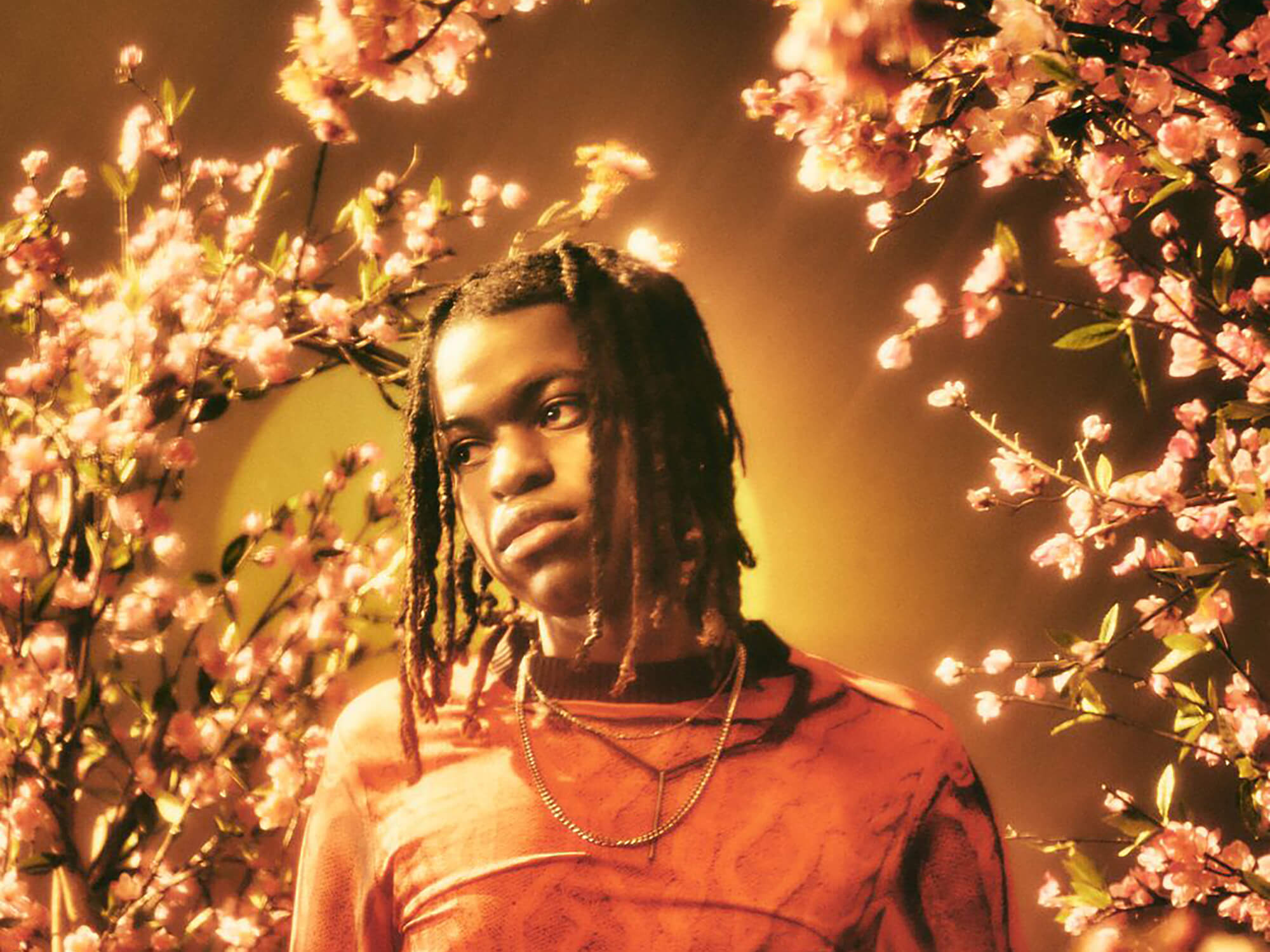 Jordan Adetunji photographed against a backdrop of cherry blossoms and orange hues, photo by Frank Fieber